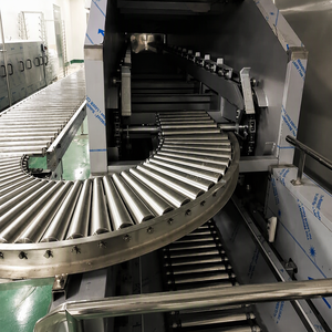 Intelligente Edelstahl-Rollen fördersysteme-Neue kunden spezifische Transport linien Reibungs arme Rollen Automat isierte Logistik - Product Image 2