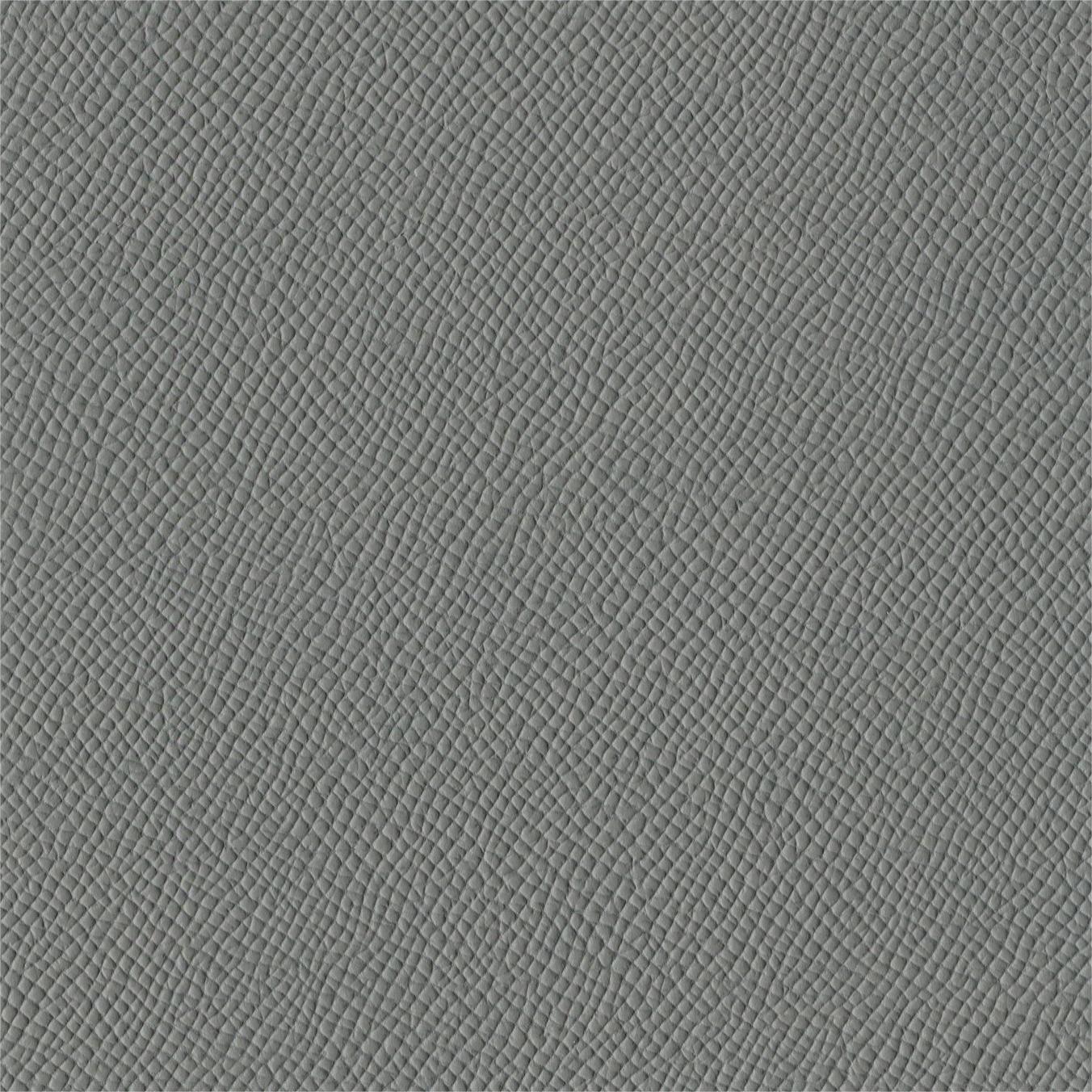 Gaviota gris