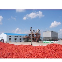 Machines de traitement des plantes, 30g, 1T par heure, pour la production de sauce tomate