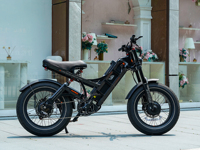Bicicleta Eléctrica con Llantas Anchas de 20 Pulgadas, 1000W, 52V, 60Ah, para Todo Terreno, Playa, Nieve, Montaña, para Adultos