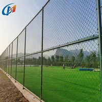 Cercas de Alambre Galvanizado por Inmersión en Caliente de 3.8mm, Recubiertas de PVC Verde, Malla Diamantada de 50*50mm, Puertas para Estadios