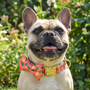 Collier pour chien MIDEPET <span class=keywords><strong>de</strong></span> haute qualité à dégagement rapide, nœud papillon mignon, accessoires <span class=keywords><strong>de</strong></span> luxe en alliage et polyester, pour la promenade des chiens, imprimé Saint-Valentin - Product Image 1