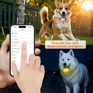 <span class=keywords><strong>2026</strong></span> Toptan RingBell Renkli Işıklı Evcil Hayvanlar İçin Akıllı Küresel Konumlandırma Cihazı Rastreador Mascotas Mini GPS İzleyici Eğitim Tasması - Product Image 6