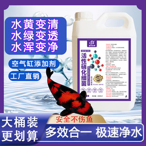 Purificador de Aire y Agua de 2600ml con Bacterias Nitrificantes para Peceras - Product Image 4