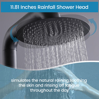 Douche extérieure autoportante noire mate en acier inoxydable 304, système de douche pluie sur pied pour plage, piscine, hôtel