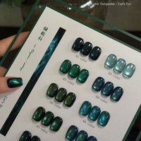 Suuseegel – Kit de vernis gel magnétique œil de chat turquoise 10 couleurs, vert et bleu, pour manucure en salon