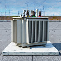 Transformateur immergé dans l'huile MingZheng S22 MV&HV 20kv/0.4kv triphasé 400kVA 800kVA 1600kVA avec certification CE entièrement étanche