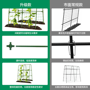 Treillis en fer vert pour plantes, support arqué pour légumes et plantes grimpantes, piquet de jardin facile à assembler - Product Image 2
