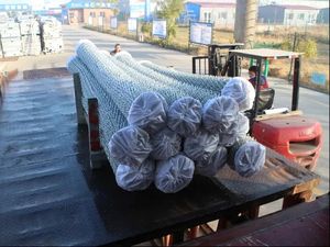 Rouleau <span class=keywords><strong>de</strong></span> bande <span class=keywords><strong>de</strong></span> confidentialité en fer galvanisé revêtu <span class=keywords><strong>de</strong></span> PVC pour clôture en treillis métallique - Clôture <span class=keywords><strong>de</strong></span> sécurité pour ranch, forte <span class=keywords><strong>tension</strong></span> - Product Image 6