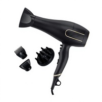 Sèche-cheveux professionnel de salon, moteur AC, ionique, 2000-2400W, 2 vitesses avec concentrateur et diffuseur