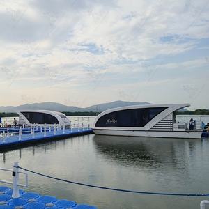 Maison flottante de célébrité d'Internet, deux chambres, deux salons, pour pêcheurs, maison flottante sur l'eau, ferme, voyage, lac, bateau de surface, aluminium - Product Image 1