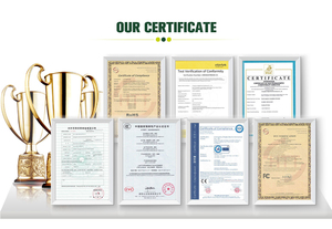 Phụ Tùng Xe Đạp Điện Bộ Phận Xe Đạp Điện Bộ Điều Khiển Động Cơ SW-9 Cho Xe Đạp Điện Và Xe Tay Ga Điện - Product Image 4