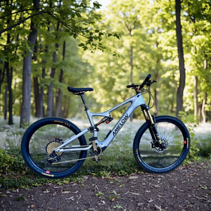 Sepeda gunung listrik DJI Amflow <span class=keywords><strong>PL</strong></span> Carbon Pro 800wh Avinox M1 Drive rangka serat karbon ultra ringan suspensi penuh ebike - Product Image 4