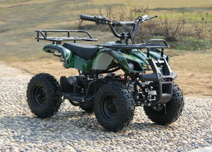 <span class=keywords><strong>Quad</strong></span> enfant <span class=keywords><strong>électrique</strong></span> <span class=keywords><strong>1000W</strong></span> ATV avec compteur de vitesse - Product Image 6