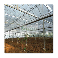 Dorisun Serre agricole à travées multiples Serre à film tunnel en poly avec système hydroponique