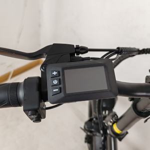 Offre Spéciale Chine Cargo vélo électrique 3 vitesses 48V batterie au lithium 500W 20 pouces route ville e-bike vélo électrique pour <span class=keywords><strong>femme</strong></span> homme - Product Image 3