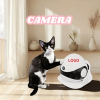 Juguete Interactivo Robótico para Gatos, Ecológico, Automático, con IA, Asistente Doméstico, Bola de Plástico, Seguimiento Móvil Seguro y Grabación