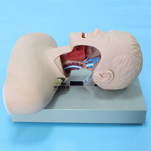 Modèle avancé d'intubation trachéale humaine adulte avec dispositif d'alarme - Product Image 5