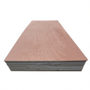 Contrachapado Comercial Moderno FOMEX 4X8, Grado E1 de Primera Clase, Resistente al Agua y al Formaldehído, Ecológico, Superficie Lijada, Doble Cara - Product Image 1