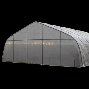 Serra Agricola Commerciale Industriale per Pomodori 8x50m a Costo Ridotto a Campata Singola - Product Image 2
