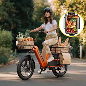 Nouveau Vélo Cargo 2025 Charge Utile 200 kg Moteur 750W, Batterie Lithium 48V, Écran LCD, Port de Charge USB, Réflecteurs Arrière - Product Image 5