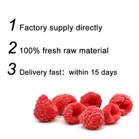 Crumble de Frambuesa Roja Congelada IQF al por Mayor, Precio por 10 kg