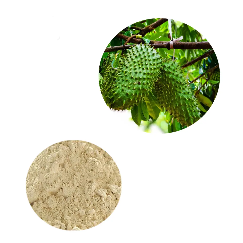 Free Sample Organic Fruit for Cancer Ground Powdered Leaf 5% Extract Graviola Cancer