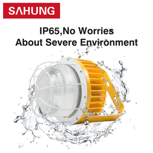 Tùy chỉnh tốt nhất người bán dẫn nổ bằng chứng lũ ánh sáng 40W 60W 80W 120W chống nổ khu vực chống cháy nổ hội thảo chiếu sáng - Product Image 4