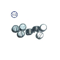 Vis sans tête à fente spéciale M2-0.25P * 6L pour accessoires de contrôle