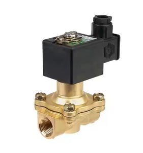 Válvula Solenoide de Latón Serie 210 100% Original, 2/2 Vías, Control de Fluidos Industrial de Alta Gama, Precio de Fábrica - Product Image 4