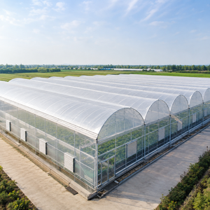 Film de serre agricole sur mesure en PE, couverture en plastique pour fermes et pépinières - Product Image 4