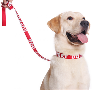 <span class=keywords><strong>Collar</strong></span> personalizado con estampado de seda para perro, con correa de nailon impresa - Product Image 2