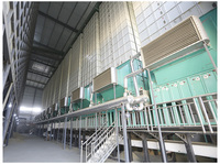 Wufeng 3ton 5 tonnes 10ton 15ton 30ton Paddy Dryer Machine pour moulin à riz à bon prix