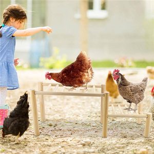Barra <span class=keywords><strong>de</strong></span> <span class=keywords><strong>Madera</strong></span> <span class=keywords><strong>de</strong></span> Varios Niveles <span class=keywords><strong>para</strong></span> Gallinas, Percha <span class=keywords><strong>de</strong></span> <span class=keywords><strong>Madera</strong></span> Natural <span class=keywords><strong>para</strong></span> Gallinero, Accesorios <span class=keywords><strong>para</strong></span> Aves <span class=keywords><strong>de</strong></span> Corral - Product Image 3
