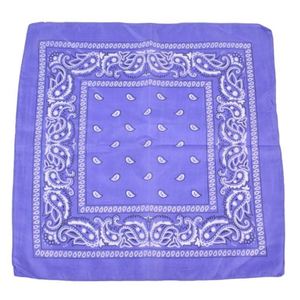 Nouveau Foulard Carré de Luxe Unisexe 22 Pouces en Coton et Polyester Doux, Impression Personnalisée Simple Face Motif Dessin Animé, Vente en Gros 2025 - Product Image 5