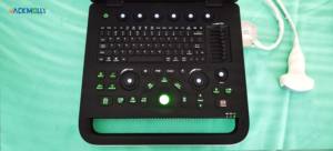 SUN-800C pemindai Digital Ultrasound, alat diagnosis hewan portabel B/W untuk binatang peliharaan OB ecocardiografi - Product Image 4