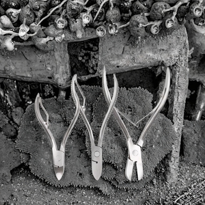 New Hot Bán blueworth thiết bị thú y Pig Răng kẹp và cắt thép không gỉ 3 tháng bảo hành 0.2kg - Product Image 3