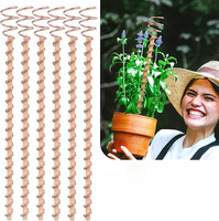 Piquets de plantation en cuivre électrolytique de 17 pouces, piquets de plantation de légumes, piquet de mousse durable