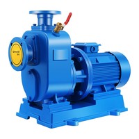 Pompe de canalisation auto-amorçante commerciale à bride, à accouplement direct, avec moteur en cuivre et boîtier antirouille, pour l'alimentation en eau et le drainage urbain