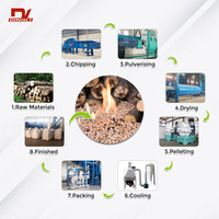 Usine de granulés de bois biomasse pour l'énergie biomasse