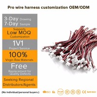 تجميع كابلات مخصصة ODM OEM من JST وMolex وDupont بخطوة MX1.25 وموصلات أنثى بـ 2 و3 و4 و5 و6 سنون للأجهزة المنزلية والإلكترونيات