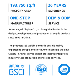 Vitrine empilable verticale de cage d'araignée en forme de L acrylique pour de petits reptiles de tarentule - Product Image 6
