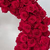 Arche de fleurs artificielles en forme de cœur, rose rouge, 2,4 m, grande structure florale pour demande en mariage, décoration d'événements