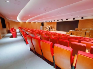 Chaises de cinéma pliantes en alliage d'aluminium au design moderne, sièges de canapé pour salles de conférence, cinémas, églises - Écologiques - Product Image 4