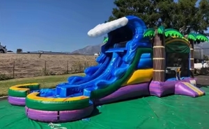 Thương mại ướt khô nhảy bouncy thư bị trả lại Nhà trượt nước kết hợp hai làn nhiệt đới bơm hơi lâu đài <span class=keywords><strong>Combo</strong></span> để bán - Product Image 5