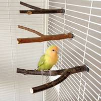Mini arbre en bois naturel, tronc d'arbre, perchoir pour perroquet, jouet en bois pour cage à oiseaux, décoration, matériau en bois massif, résistant à la morsure
