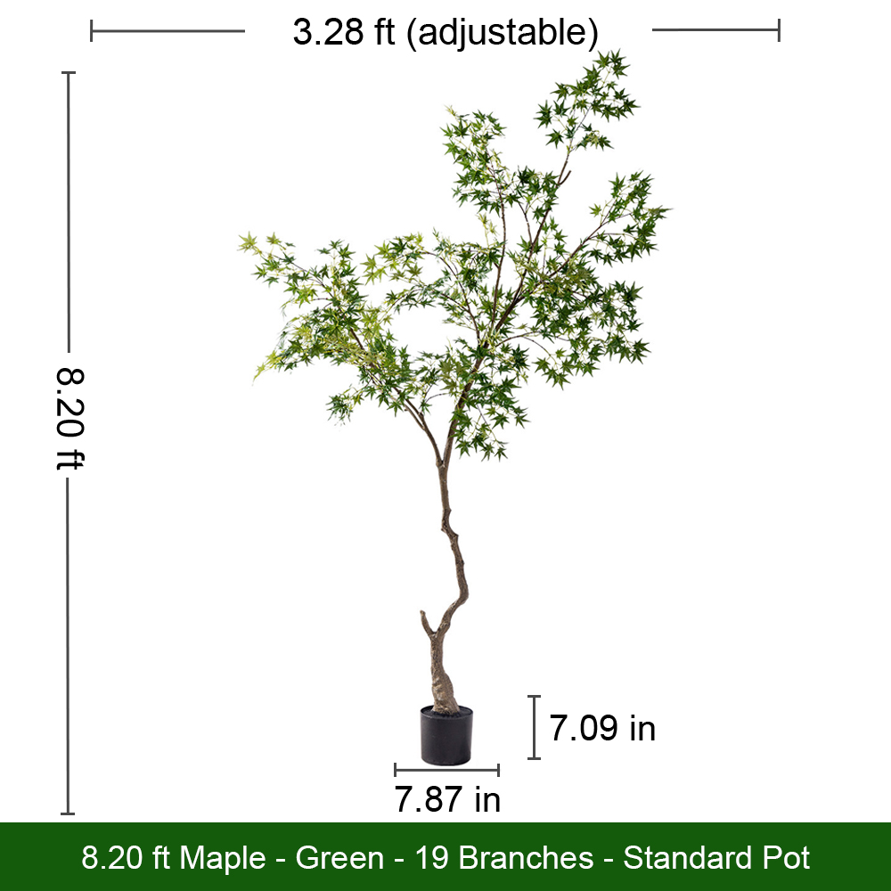 Árbol de Arce Verde Fresco