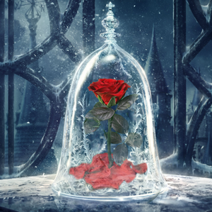 Rose éternelle <span class=keywords><strong>La</strong></span> <span class=keywords><strong>Belle</strong></span> <span class=keywords><strong>et</strong></span> <span class=keywords><strong>la</strong></span> Bête en dôme de verre, qualité supérieure, prix usine - Product Image 6