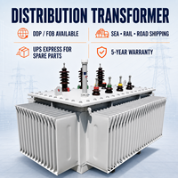 Transformador Sumergido en Aceite de 11kV 1000kVA para Distribución de Energía