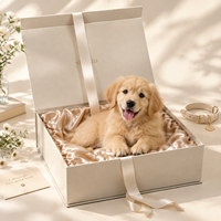 Boîte cadeau de luxe personnalisée pour animaux de compagnie, avec insert en tissu de soie doux, couvercle à rabat en feuille d'or, emballage en carton rigide recyclable et écologique, OEM